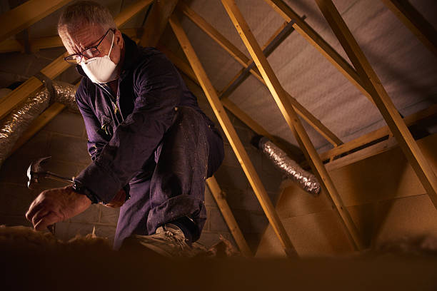 Best Commercial Insulation in Lone Oak, TN